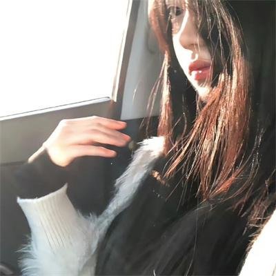 野良与皇女与流浪猫之心